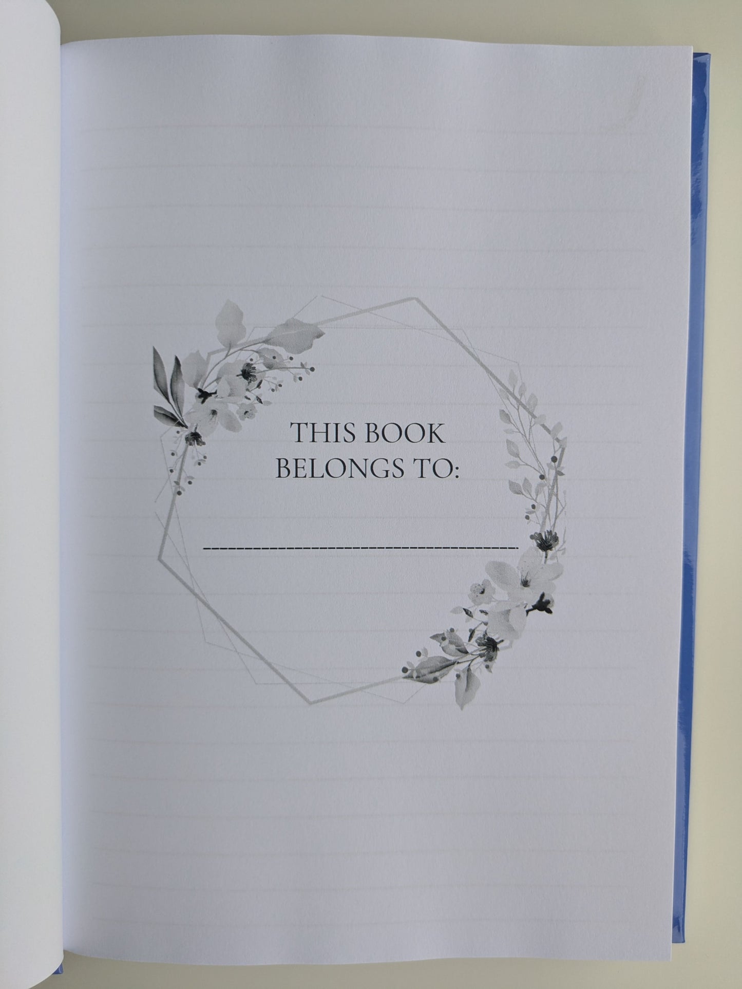 Important Stuff Contained Within