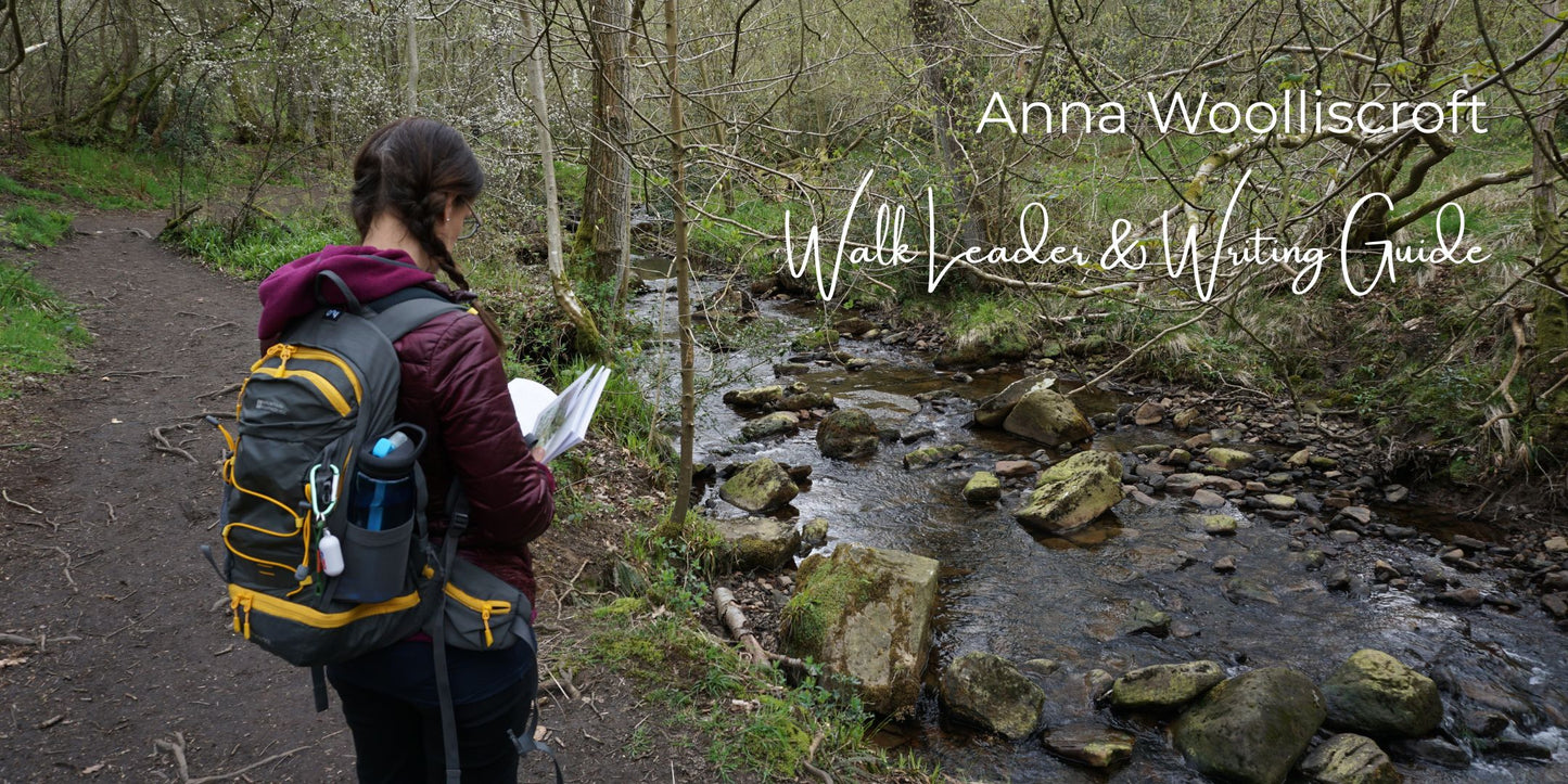 Wild Writing Walks – Walk, Write, Connect
