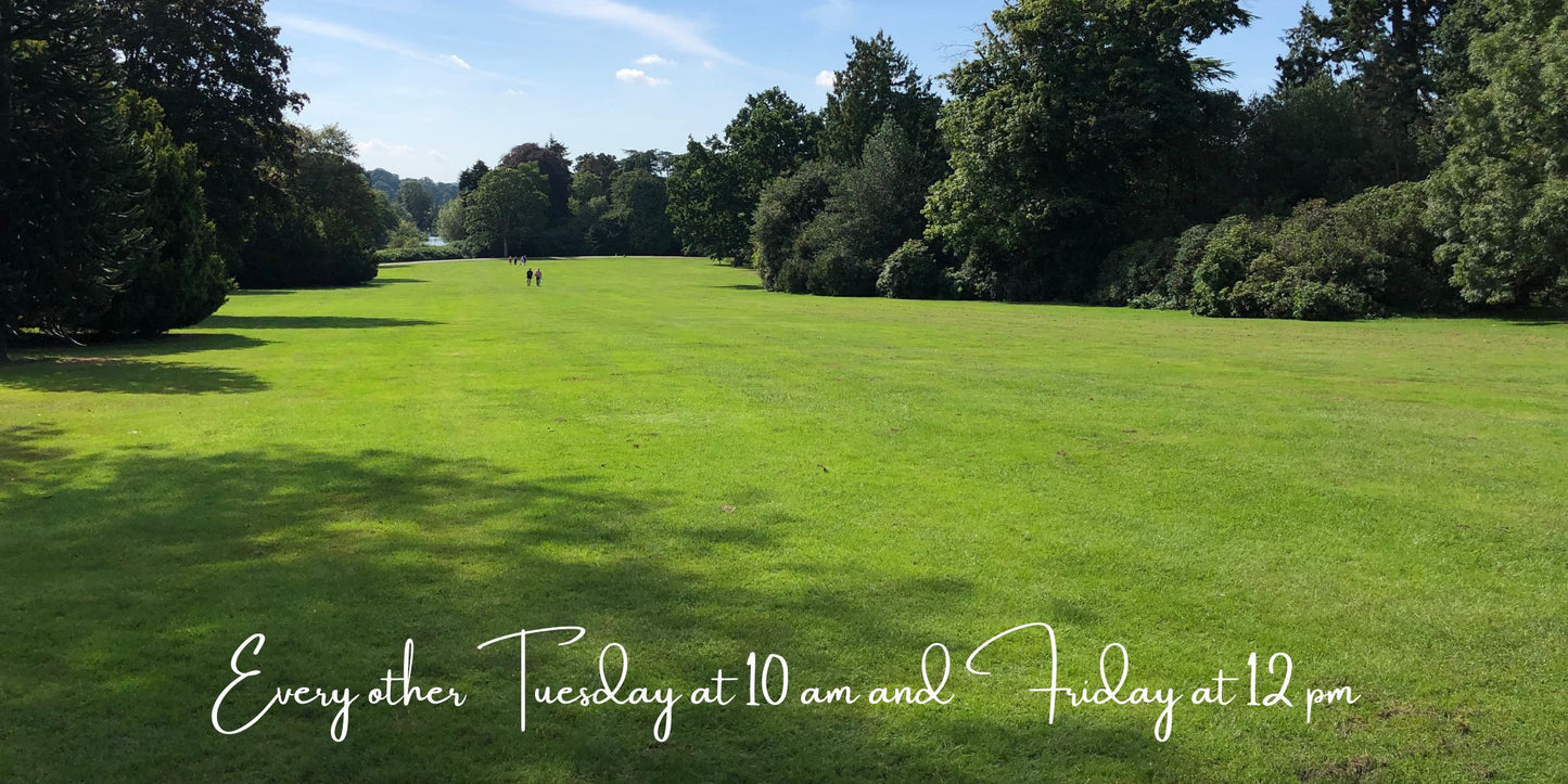 Wild Writing Walks – Walk, Write, Connect