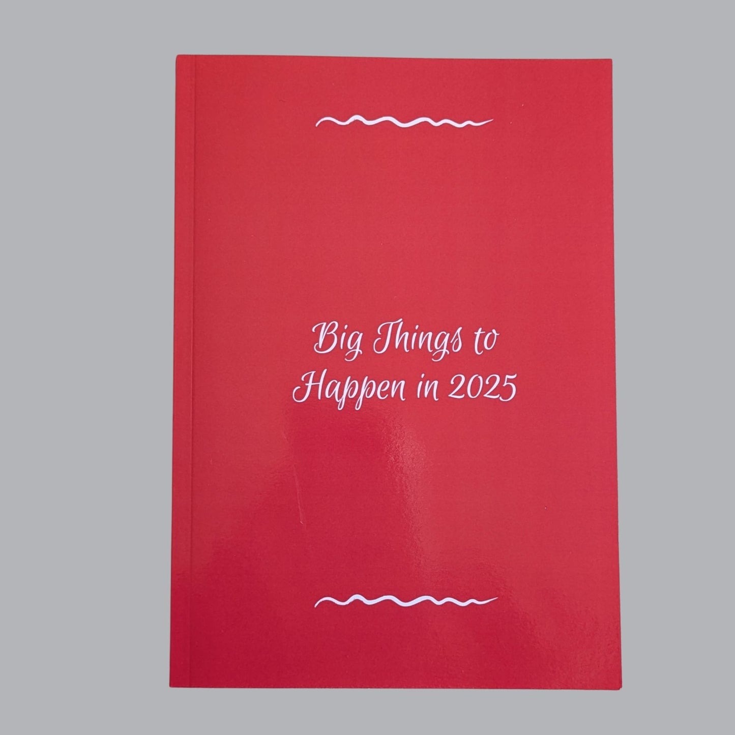 2025 Diary – Scarlet Red