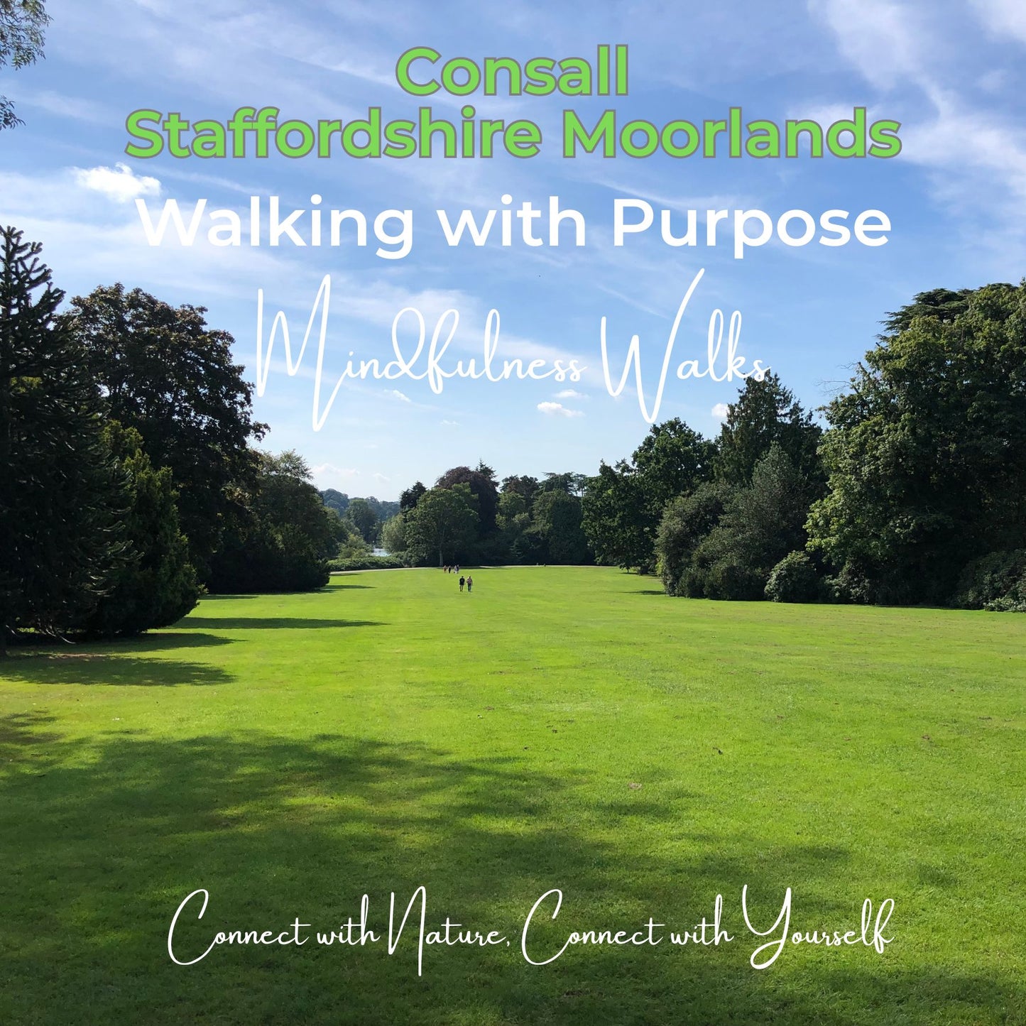 Walking with Purpose: Mindfulness Walks in Consall Woods