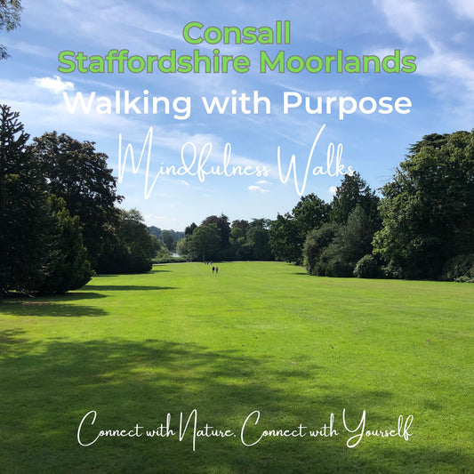 Walking with Purpose: Mindfulness Walks in Consall Woods
