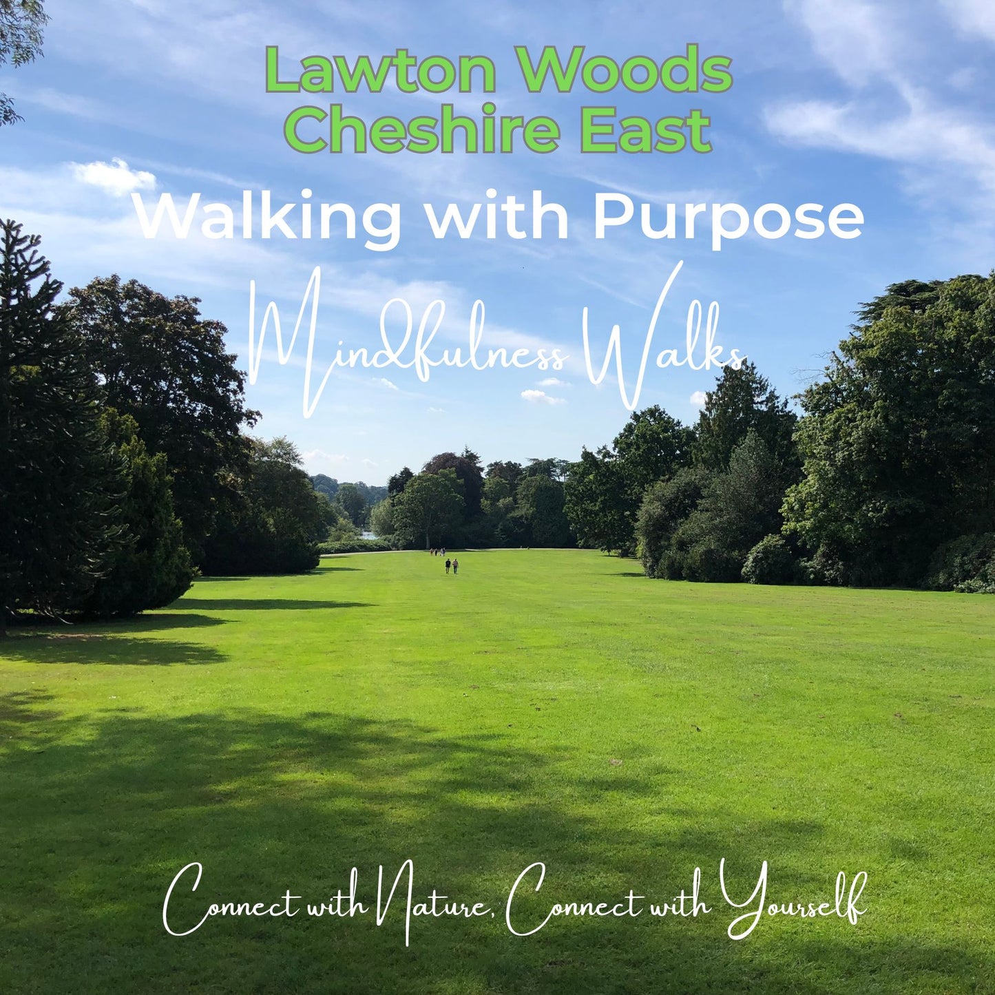 Walking with Purpose: Mindfulness Walks in Lawton Woods