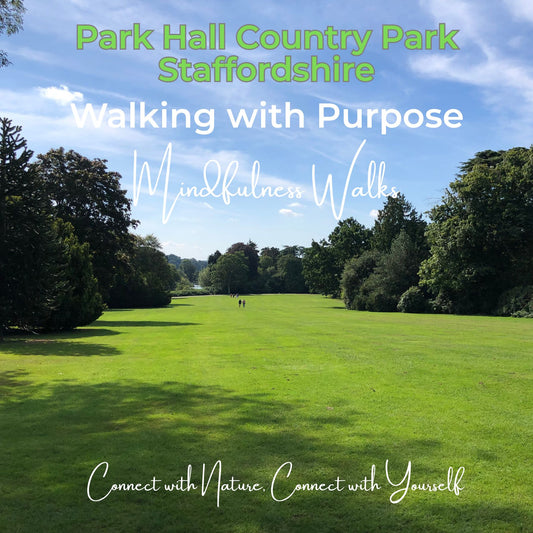 Walking with Purpose: Mindfulness Walks in Park Hall