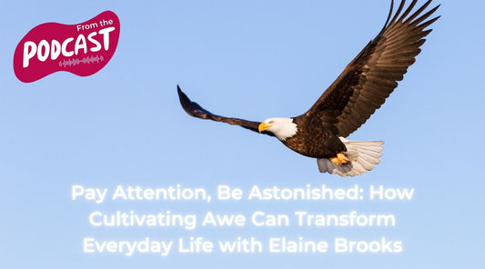 Pay Attention, Be Astonished How Cultivating Awe Can Transform Everyday Life with Elaine Brooks