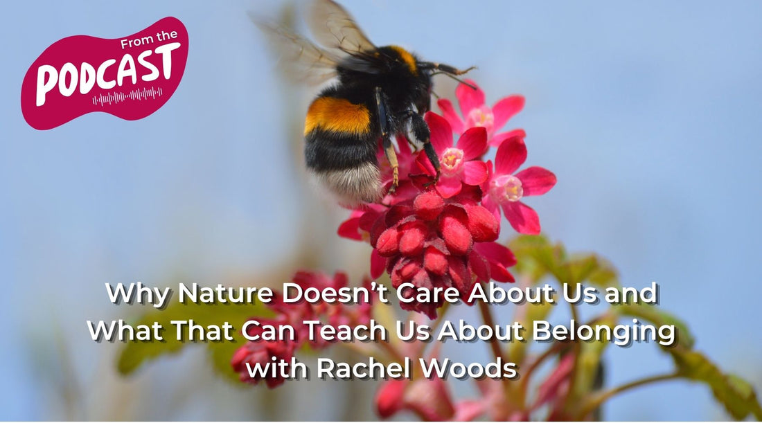 The image of a bumble see on a bright pink flower, blue skies in the background. Text overlay says 'Why nature doesn't care about us and what that can teach us about belonging'