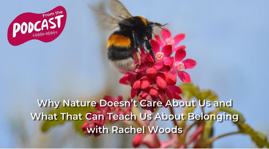 The image of a bumble see on a bright pink flower, blue skies in the background. Text overlay says 'Why nature doesn't care about us and what that can teach us about belonging'