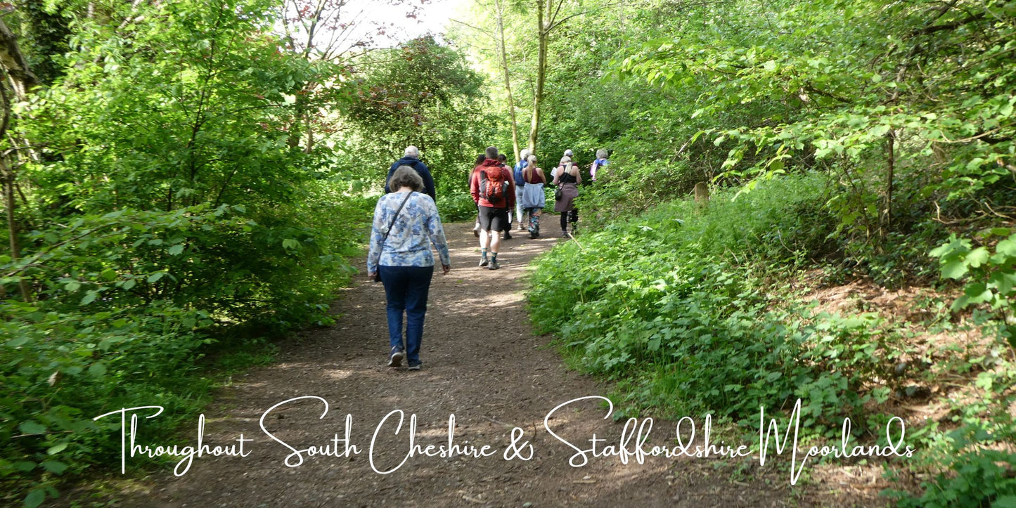 Walking with Purpose: Mindfulness Walks in Consall Woods
