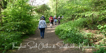 Walking with Purpose: Mindfulness Walks in Consall Woods