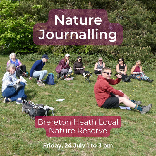 Walking with Purpose: Nature Journalling at Brereton Heath Local Nature Reserve 24 July