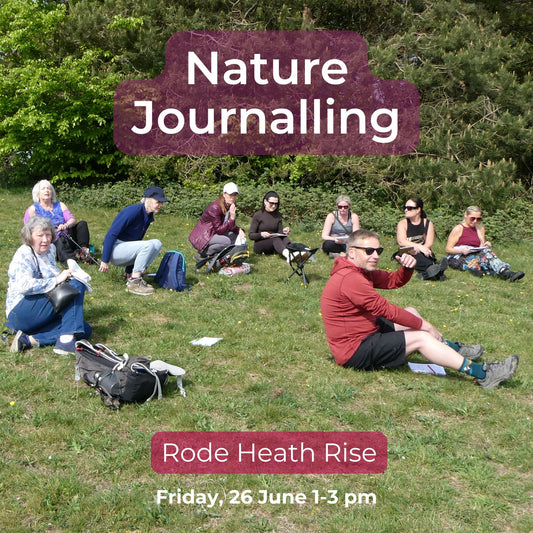 Walking with Purpose: Nature Journalling at Rode Heath Rise 26 June